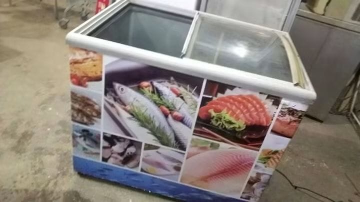 Freezers Horizontais e Profissionais
